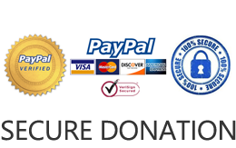secure donation